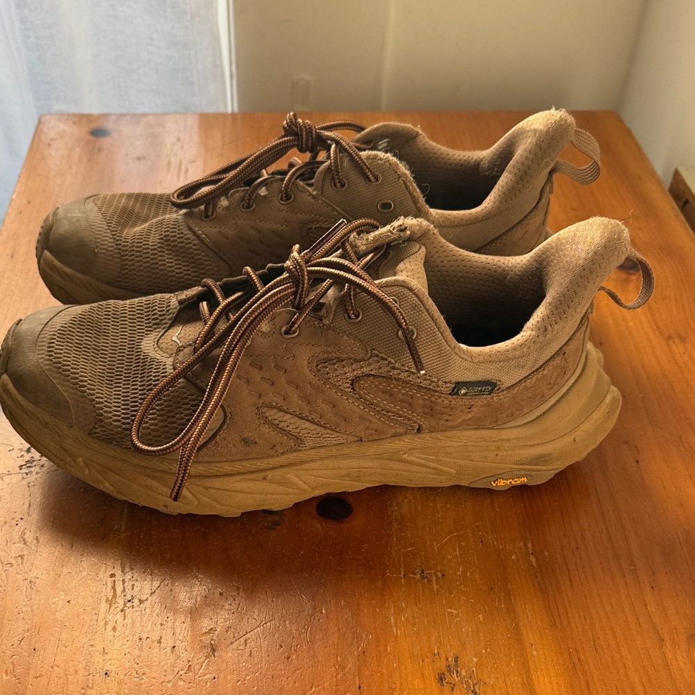 Hoka Men's Anacapa 2 hikers